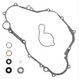 REPARO BOMBA DAGUA KXF250 17/20 WINDEROSA