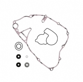 REPARO BOMBA DAGUA KXF250 09/16 WINDEROSA