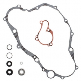 REPARO BOMBA DAGUA YZF450 10/13 WINDEROSA