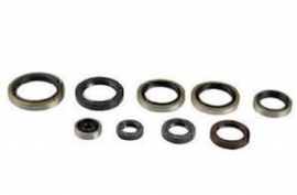 KIT RETENTOR MOTOR YZF250 14/15 YZF250X 15/19 WRF250 15/20 JDR