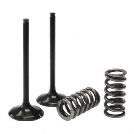 VALVULA ADMISSAO KXF450 04/08 (KIT 2PCS C/ MOLAS) 3B BBB