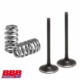 VALVULA ADMISSAO YZF250 14/18 KIT C/2 C/MOLAS 3B BBB