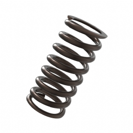 MOLA EMBREAGEM CRF250F REFORCADA 6UND ANKER