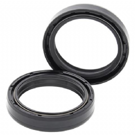 RETENTOR GARFO 45X58X11 PAR ALL BALLS