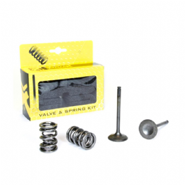 VALVULA ESCAPE RMZ450 08/18 KIT 2 PECAS C/ MOLAS PRO X