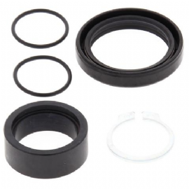 RETENTOR PINHAO  BUCHA KXF250 06/13 ALL BALLS