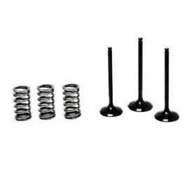 VALVULA ADMISSAO WRF450 03/15 YZF450 03/09 KIT C/3 C/MOLAS 3B BBB