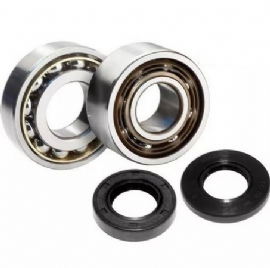 KIT ROLAMENTOS VIRABREQUIM GASGAS EC200 06/19 EC250 06/19 EC300 99/19 WORX