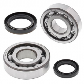 KIT ROLAMENTOS VIRABREQUIM RMX250 89/94 C/ RETENTOR ALL BALLS