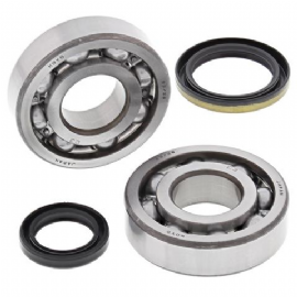 KIT ROLAMENTOS VIRABREQUIM RMX250 95/99 C/ RETENTOR ALL BALLS