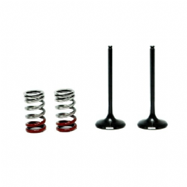 VALVULA ADMISSAO KTM EXCF250 / HUSABERG FE250 / HUSQVARNA FE250 14/16 KIT C / MOLAS 3B BBB