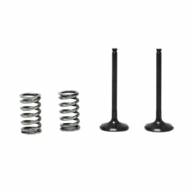 VALVULA ESCAPE KTM EXCF350 12/16 (KIT 2 VAL C/2 MOLAS) 3B BBB
