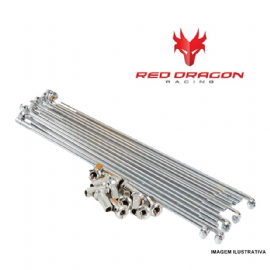 KIT RAIO TRASEIRO CRF250F INOX 4MM RED DRAGON