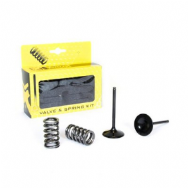 VALVULA ADMISSAO RMZ450 07 KIT 2 PECAS C/ MOLAS PRO X