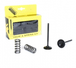 VALVULA ESCAPE KXF450 06/08 ACO KIT 2 PECAS C/MOLAS PRO X