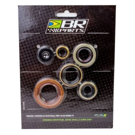 KIT RETENTOR MOTOR YZF250 14/15 BR PARTS