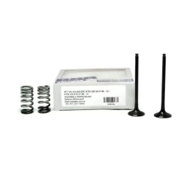 VALVULA ESCAPE KTM SXF250 08/12 EXCF250 08/13 PAR KIT C/ MOLAS 3B BBB